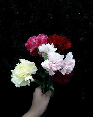 Eco arrangement 1